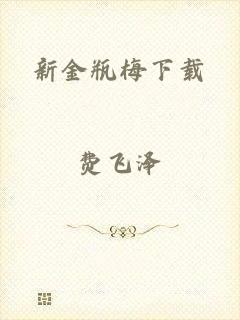 新金瓶梅下载