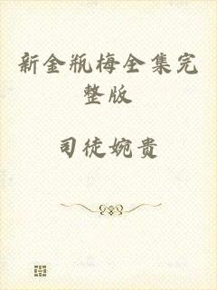 新金瓶梅全集完整版