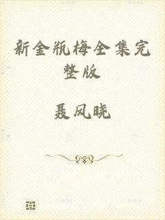 新金瓶梅全集完整版