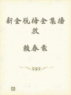 新金瓶梅全集播放