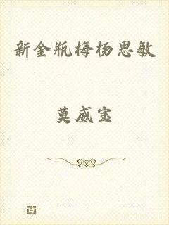 新金瓶梅杨思敏