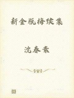新金瓶梅续集
