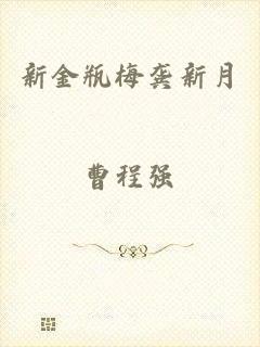 新金瓶梅龚新月