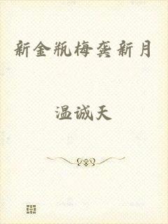 新金瓶梅龚新月