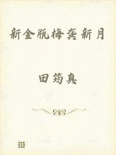 新金瓶梅龚新月