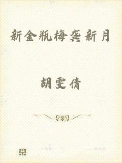 新金瓶梅龚新月