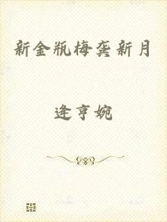 新金瓶梅龚新月