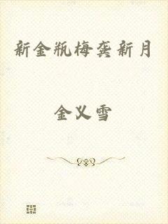 新金瓶梅龚新月