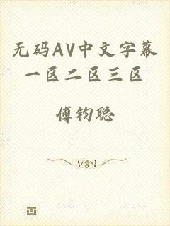 无码AV中文字幕一区二区三区