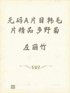 无码A片日韩毛片精品多野菊