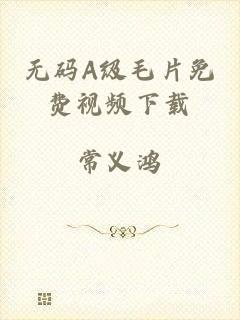 无码A级毛片免费视频下载