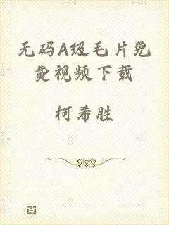 无码A级毛片免费视频下载
