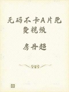 无码不卡A片免费视频