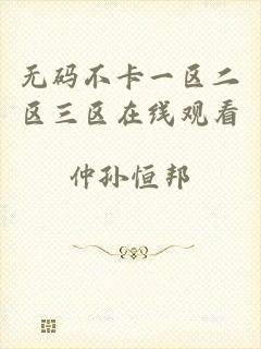 无码不卡一区二区三区在线观看