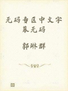 无码专区中文字幕无码