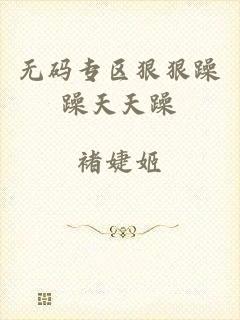 无码专区狠狠躁躁天天躁