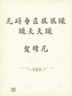 无码专区狠狠躁躁天天躁