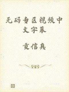 无码专区视频中文字幕