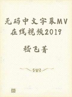 无码中文字幕MV在线视频2019