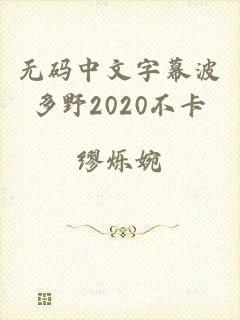 无码中文字幕波多野2020不卡