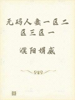 无码人妻一区二区三区一