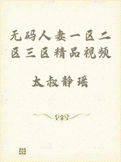 无码人妻一区二区三区精品视频