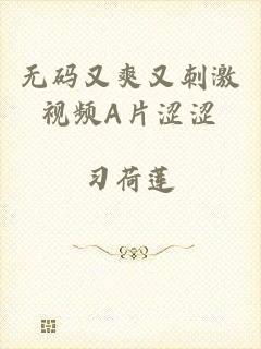 无码又爽又刺激视频A片涩涩