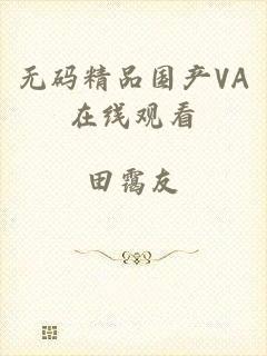 无码精品国产VA在线观看