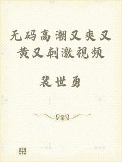 无码高潮又爽又黄又刺激视频