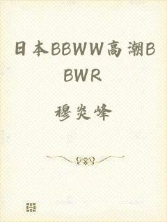 日本BBWW高潮BBWR