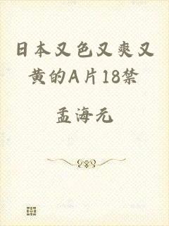 日本又色又爽又黄的A片18禁