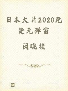 日本大片2020免费无弹窗