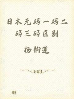 日本无码一码二码三码区别