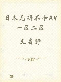 日本无码不卡AV一区二区
