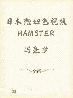 日本熟妇色视频HAMSTER
