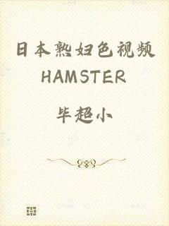 日本熟妇色视频HAMSTER