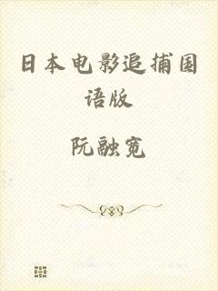日本电影追捕国语版