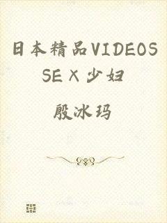 日本精品VIDEOSSE×少妇