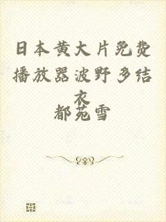日本黄大片免费播放器波野多结衣