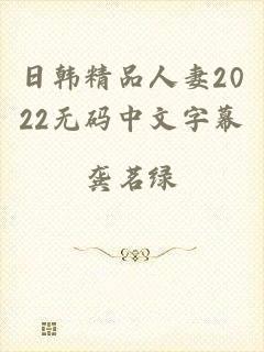 日韩精品人妻2022无码中文字幕
