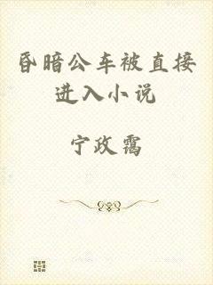 昏暗公车被直接进入小说