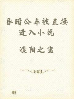 昏暗公车被直接进入小说