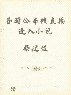 昏暗公车被直接进入小说