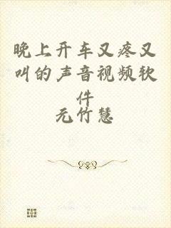 晚上开车又疼又叫的声音视频软件