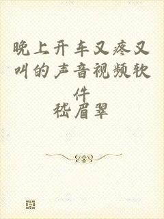 晚上开车又疼又叫的声音视频软件