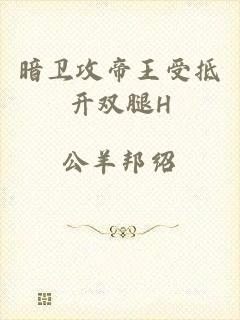 暗卫攻帝王受抵开双腿H