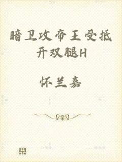 暗卫攻帝王受抵开双腿H