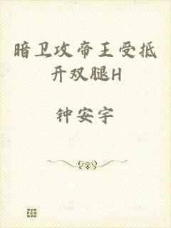 暗卫攻帝王受抵开双腿H