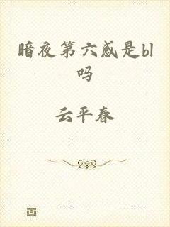 暗夜第六感是bl吗
