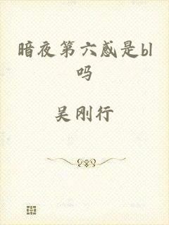 暗夜第六感是bl吗
